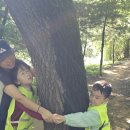 뉴한가람어린이집 이미지