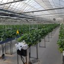 강화군농업기술센터 이미지