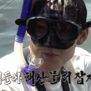 계도(닭섬) 네이버블로그