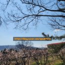 땅나와부동산중개 이미지