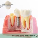 녹색치과의원 이미지