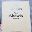 사계절 내내 즐기는 아름다운 손뜨개 스카프 52주의숄