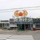 신대게 | 강릉 킹크랩 맛집 푸짐한 신대게나라