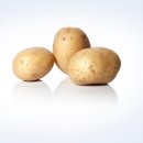 조은소리보청기서울지사 이미지