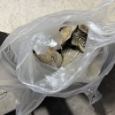 후포식자재마트 이미지