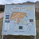 억새2축구장 이미지