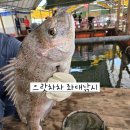 싱싱낚시 | 서산가볼만한곳 으랏차차 좌대낚시에서 즐긴 서산좌대낚시 가족 체험 후기