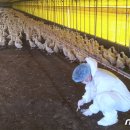 이철 농장 이미지