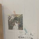 로지마이포지