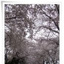 남해는, 지금 이미지