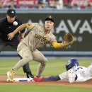 김하성 카카오 검색결과