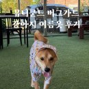 뮤니쿤트(Munikund) | 뮤니쿤트 버그가드 강아지 여름옷 후기