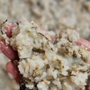 이태원치킨 이미지