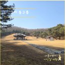 경기도 구리시 자전거교실 | 경기도 구리 가볼만한 곳 [ 동구릉 ] 왕의 숲 산책 코스 추천