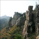 용의꼬리 이미지