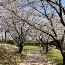 봉황대공원(주차장입구) 이미지