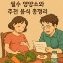 [예비 아빠의 시선] 임신 초중후기별 필수 영양소와 추천 음식 총정리