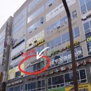새솔동 네일 : 비손네일 방문 후기