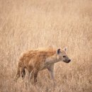 한우정육식당 이미지