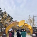 은행나무 | 강원 원주 반계리 은행나무 단풍 후기