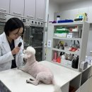 안녕동물병원 이미지