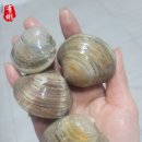 오색식품