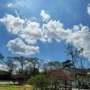 효자요양병원 이미지