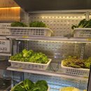 고향풍미 | 율량동 맛집 추천 고향축산물불고기 내돈내산 솔직후기