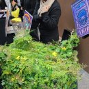 미스터리 퍼포먼스 SNAP | 221202 종합선물세트 같은 다양한 볼거리, 미스터리 퍼포먼스 SNAP