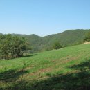 청심목장 이미지