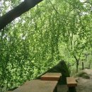 숲속정원 이미지