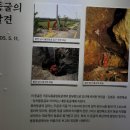 인화천 | 나 홀로 제주여행_6일차(거문오름,오름나그네, 카페 무무)