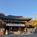감성첼로