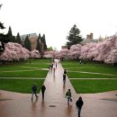 캠퍼스탑 이미지