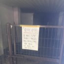 담배인삼공사 이미지