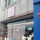 분홍따개비