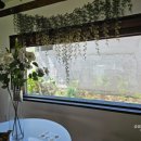 철이네 촌캉스 이미지