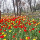 이별은 아쉽고 서운해요 이미지