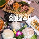 홍매회수산 이미지