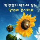 9월의 뜨락에서 이미지