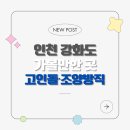 고인돌 | 인천 강화도 아이와 가볼만한 곳 고인돌 조양방직 데이트 추천