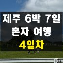 동서전자 | 제주 6박 7일 여름 혼자 여행 4일차(렛츠런팜 카페해일리 휴스테이 금호 일출 서귀포항 통발 동서네해장국)