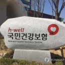 Ⅱ 외국인의 국민건강보험 자격상실에 관련 내용입니다. 이미지