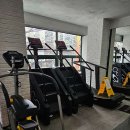 데일리피티 이미지