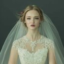 플러스헤어 이미지