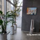 레크레오(recreo) 이미지