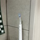전동칫솔추천 내돈내산 필립스 소닉케어 다이아몬드클린 9000 반년 사용 후기