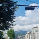 보리수 산장 | 성북동 가는 길-성북동 산책