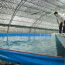 [2025 DAILY PICK 제169호] &#39;AI와 만난 바다…부산, 수산업 한계 넘는다&#39; 등 이미지