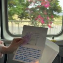 지도그라운드골프장 그라운드골프장 | 미야코지마 골프 여행, 시기라 리조트에서 경험한 인생 골프여행🏝️